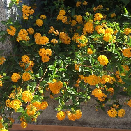 Apartament Mastrissa Country House Taormina Zewnętrze zdjęcie