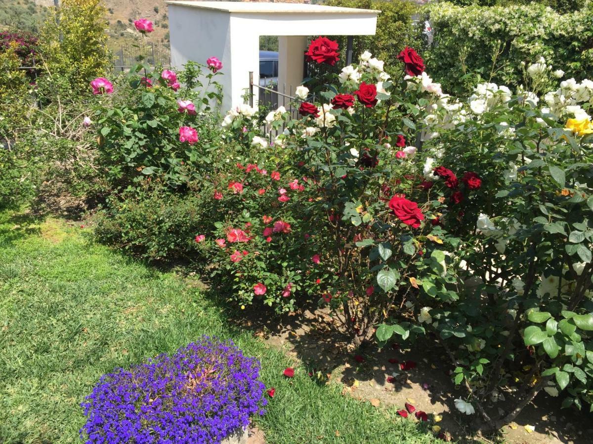 Apartament Mastrissa Country House Taormina Zewnętrze zdjęcie